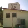 Plutarco Elias Calles
