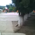 Justo Sierra