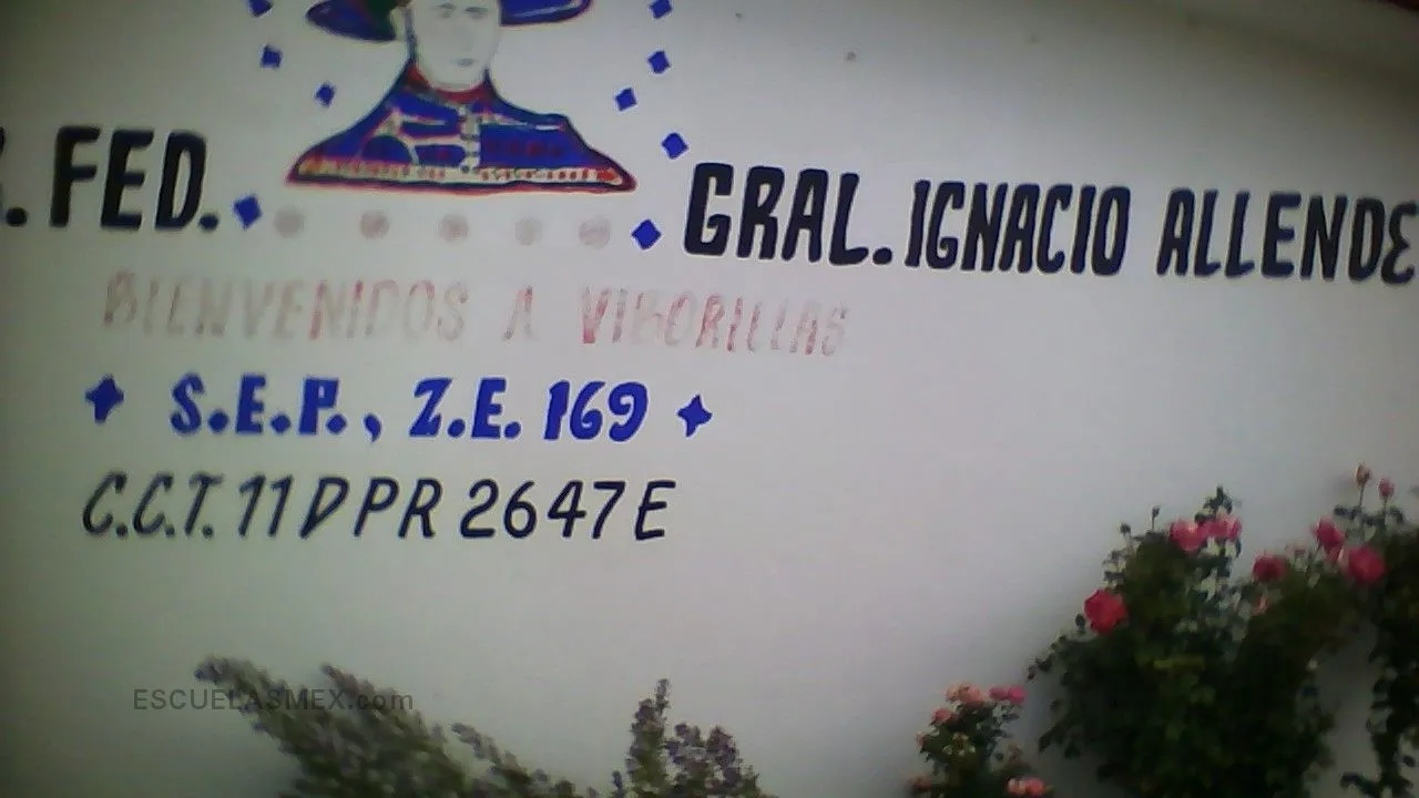 General Ignacio Allende Entrada