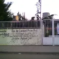 Aguiluchos de Chapultepec