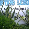 Ing. Gustavo Lesser Nolte