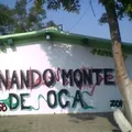 Fernando Montes de Oca