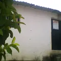 Juan Jose de los Reyes Martinez el Pipila