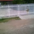 Secundaria Tecnica Num. 36