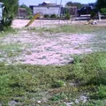 Jardin de Niños