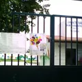 2004 Año de la Educacion Preescolar Obligatoria
