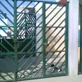 J Natividad Macias