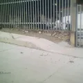 Revolucion