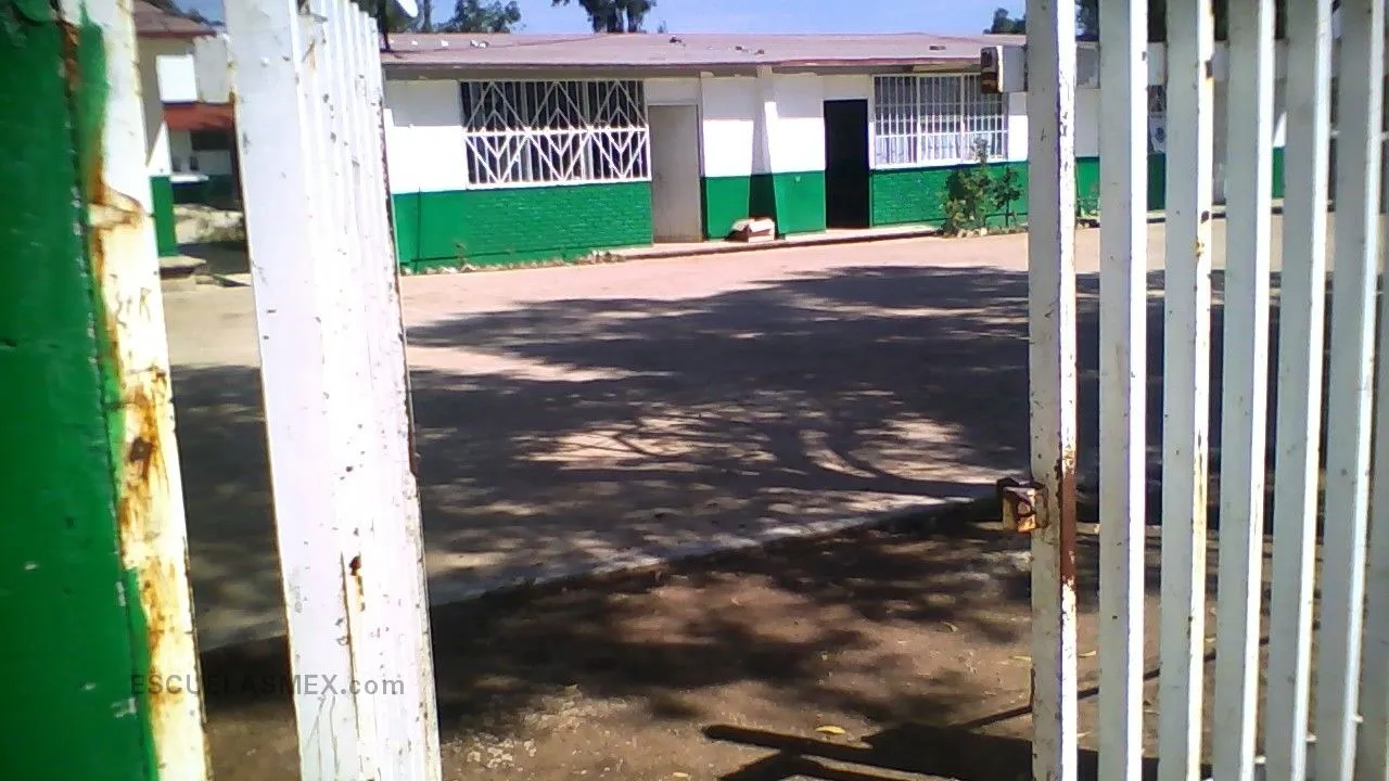 Narciso Mendoza Entrada