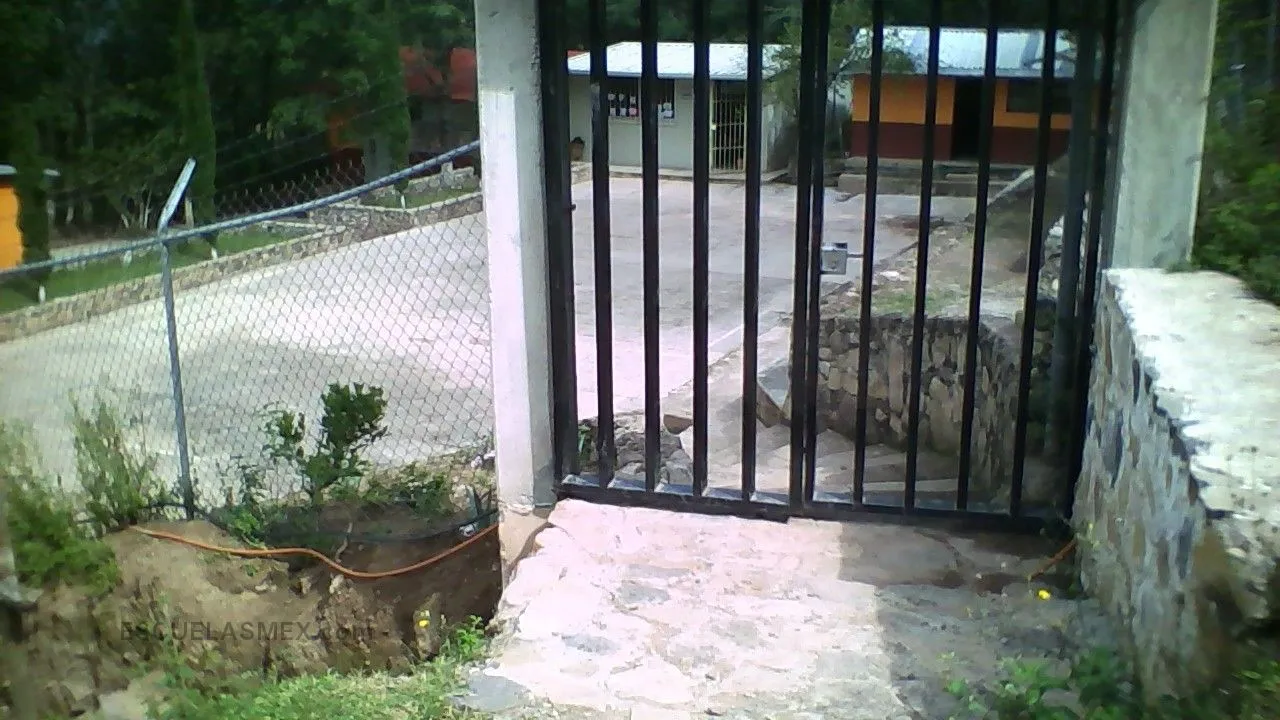 Solidaridad Entrada