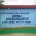 Telesecundaria Num. 315