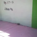 Telesecundaria Num. 363