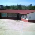 Tierra y Libertad