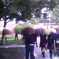 Telesecundaria Num. 505