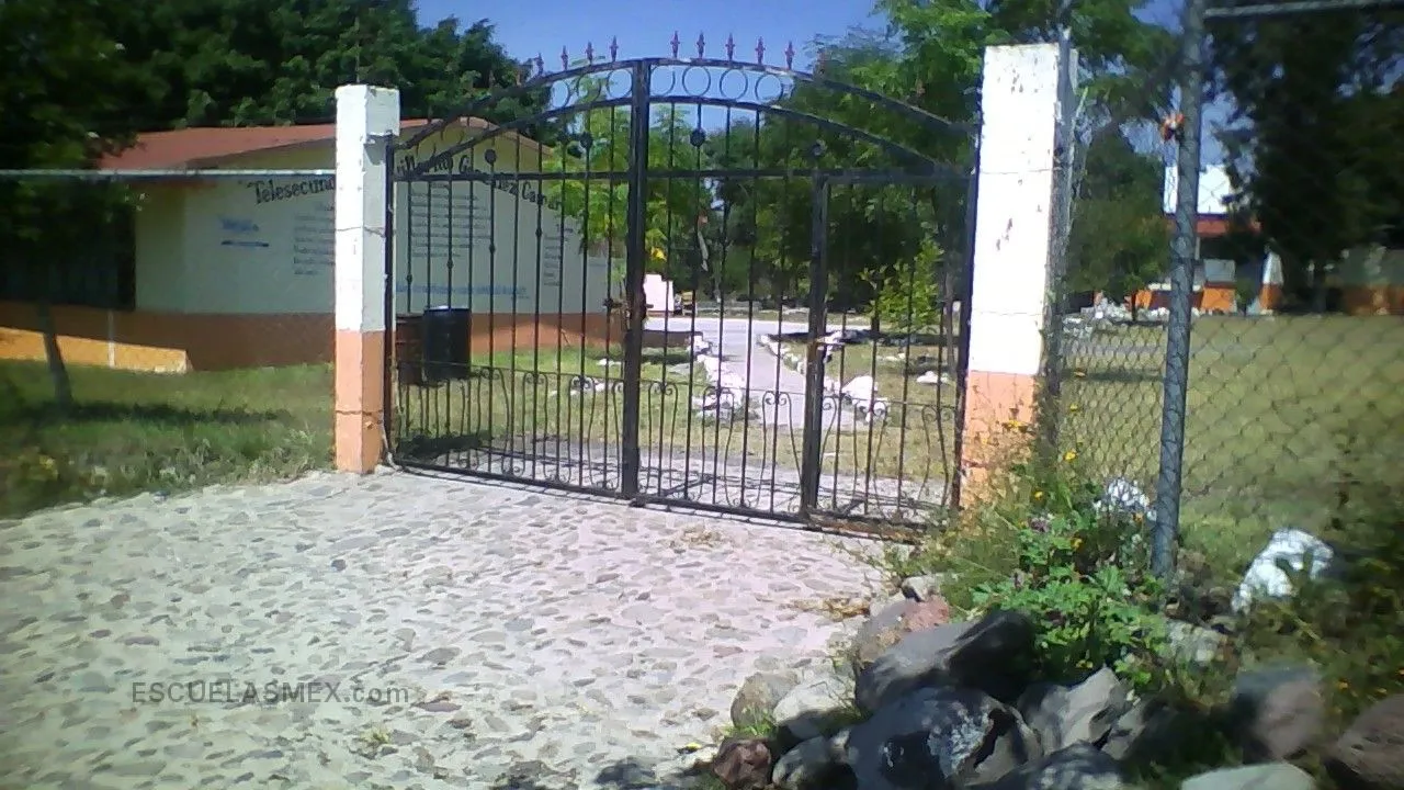 Guillermo Gonzalez Camarena Entrada