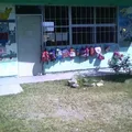 Preescolar Comunitario