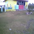 Preescolar Comunitario