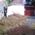 Preescolar Comunitario