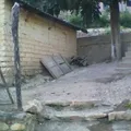 Secundaria Comunitaria