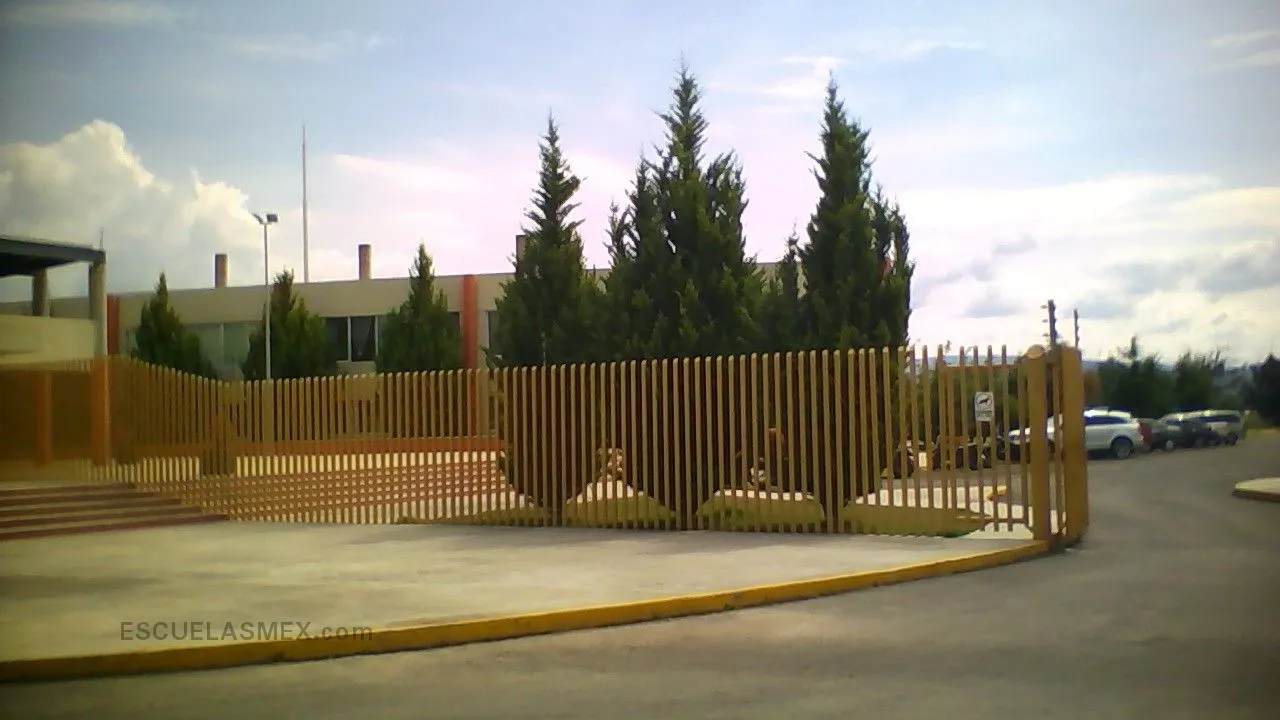 Dr. Carlos Navarro Entrada