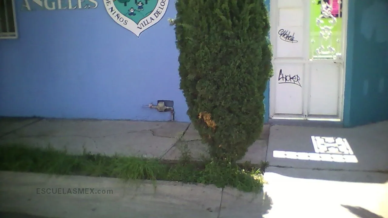 Estefania Castañeda Entrada