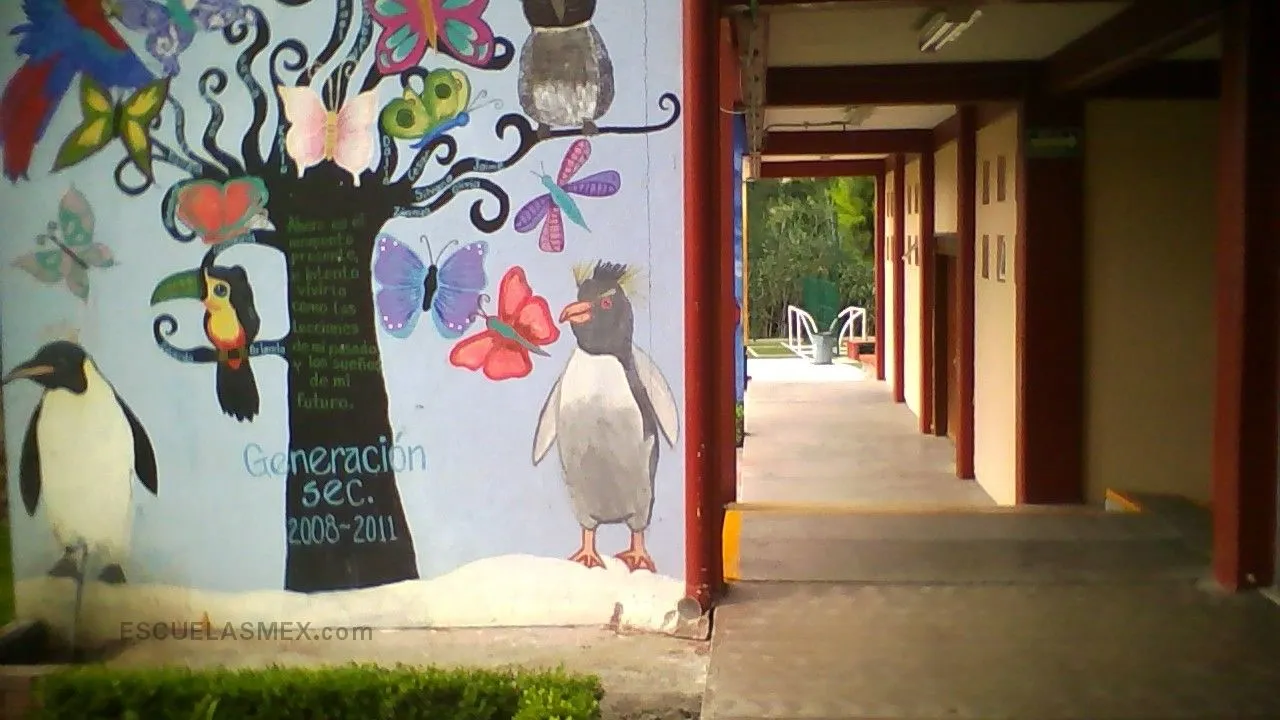 Jose Vasconcelos Entrada