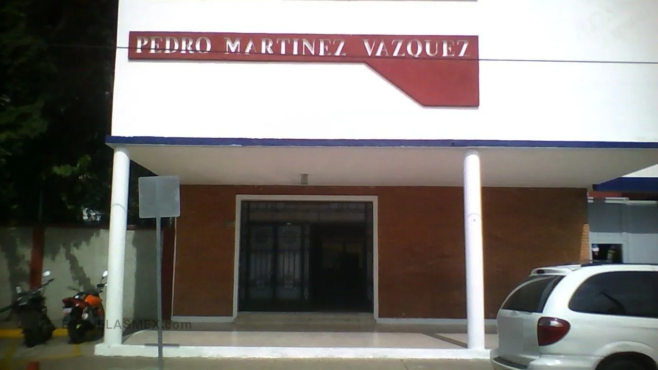 Pedro Martinez Vazquez Entrada