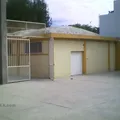 Juan Bosco