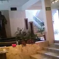 Pio Xii