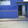 Agnes Gonzha, Institucion de Educacion Primaria