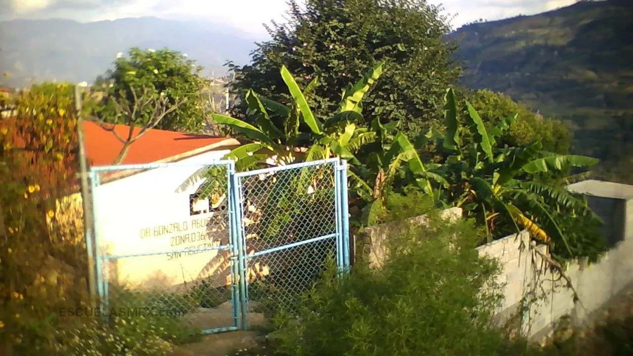Dr Gonzalo Aguirre Beltran Entrada