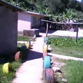 Cuauhtemoc
