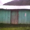El Futuro del Niño