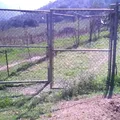 Niños Heroes