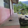Jose Ma Morelos y Pavon