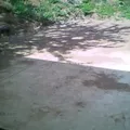 Cenpoalxochitl