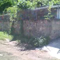 Netzahualcoyotl