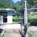 Revolucion Social
