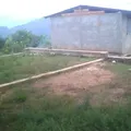 Niños Heroes