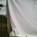 El Pipila
