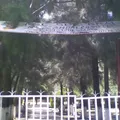 Netzahualcoyotl