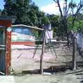 Netzahualcoyotl