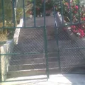 Porfirio Parra