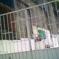 Antonio P Castillo
