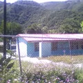 Juan N Alvarez