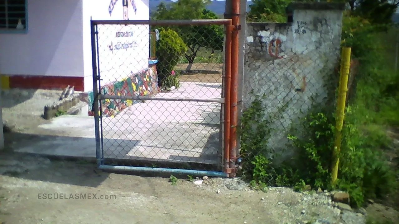Nuevo Amanecer Entrada