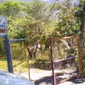 Estado de Colima