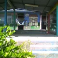 Ma Enriqueta Camarillo de Pereyra