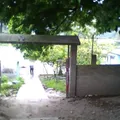 Argelia