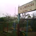 La Primavera